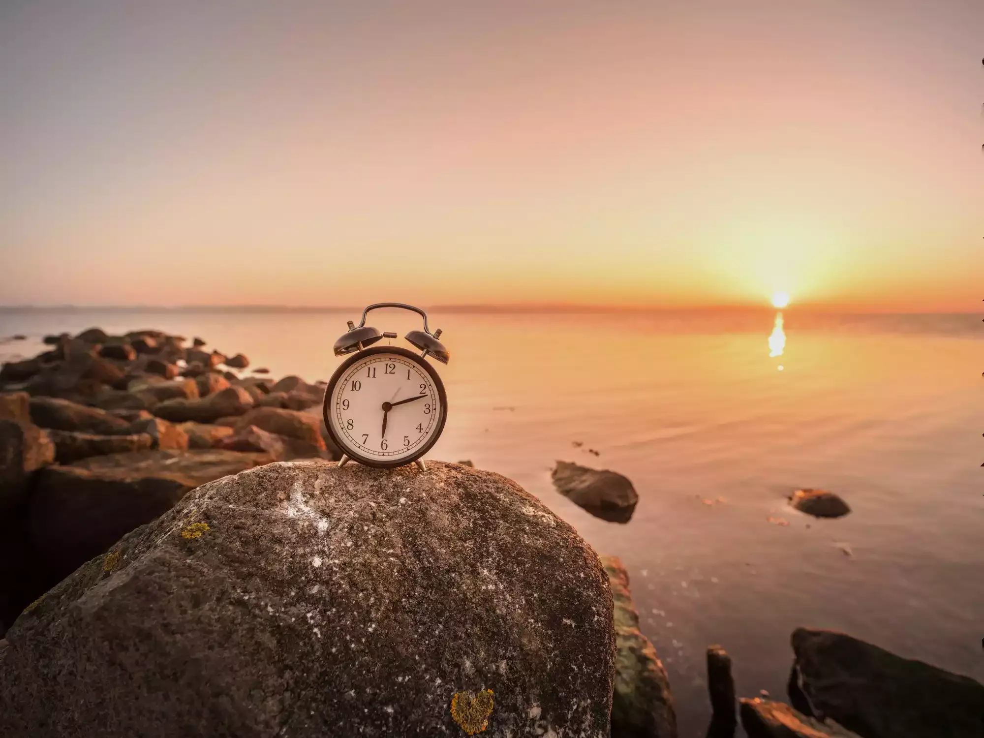 How Long Does It Take To Create An App: Timeline & Examples
