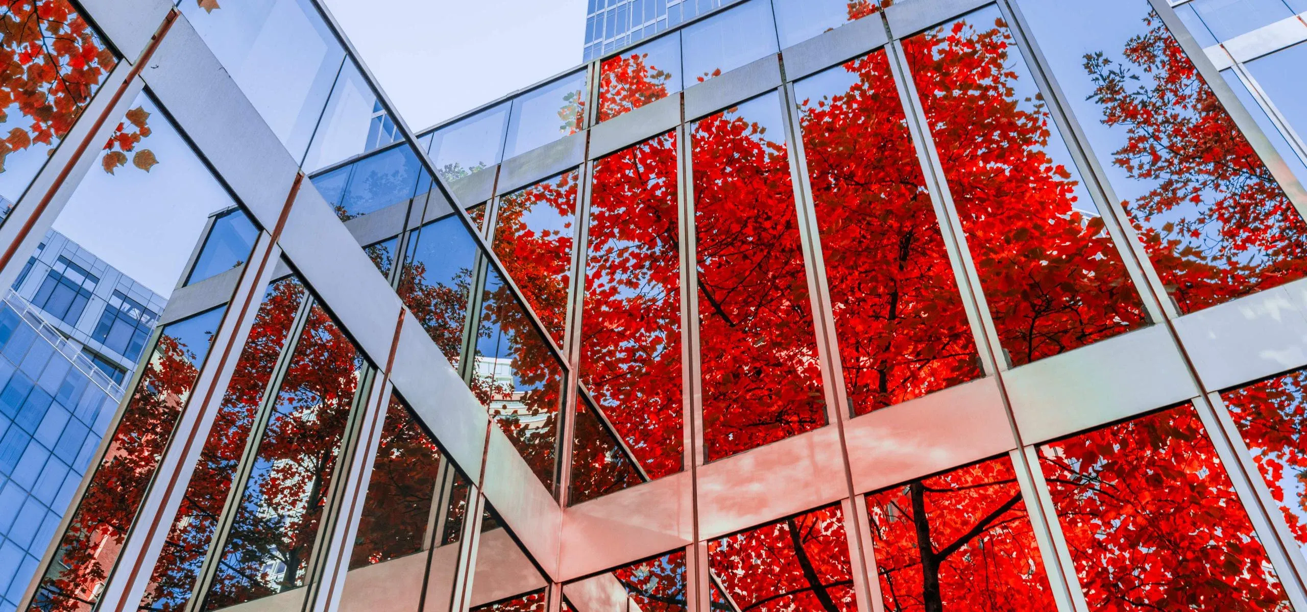 Banking Software Development Services and Our Expertise