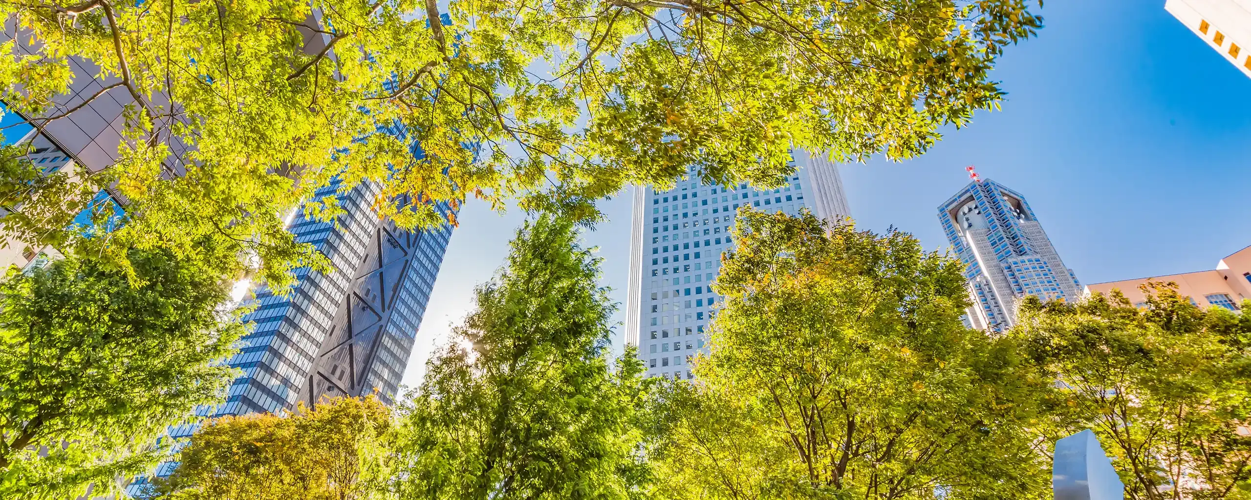 hero background image