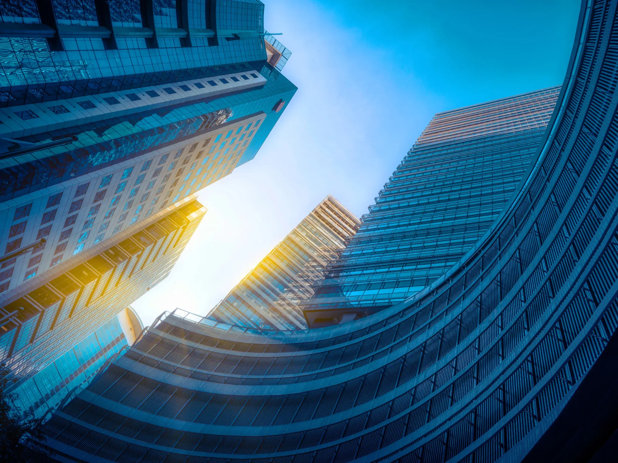 CRM Software Implementierung Dienstleistungen, Roadmap & Plattformen, mit denen wir arbeiten