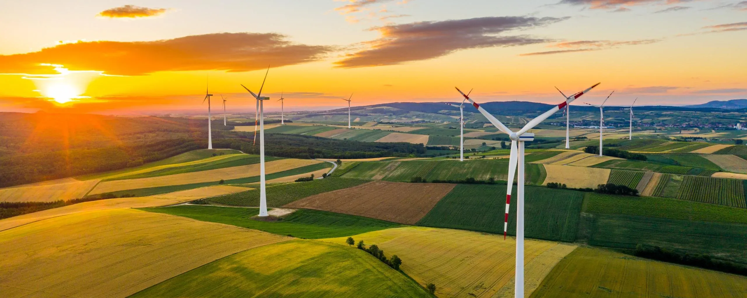 Custom Manufacturing Software: Services, Solutions, & Tips