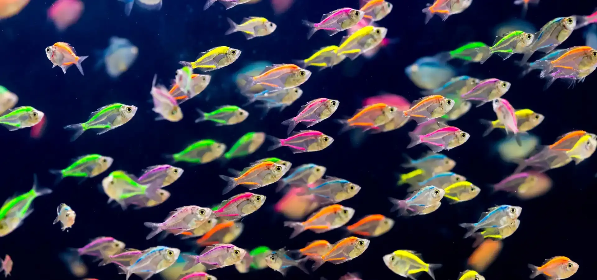 Data Migration Strategy: 6 Steps for Getting it Right