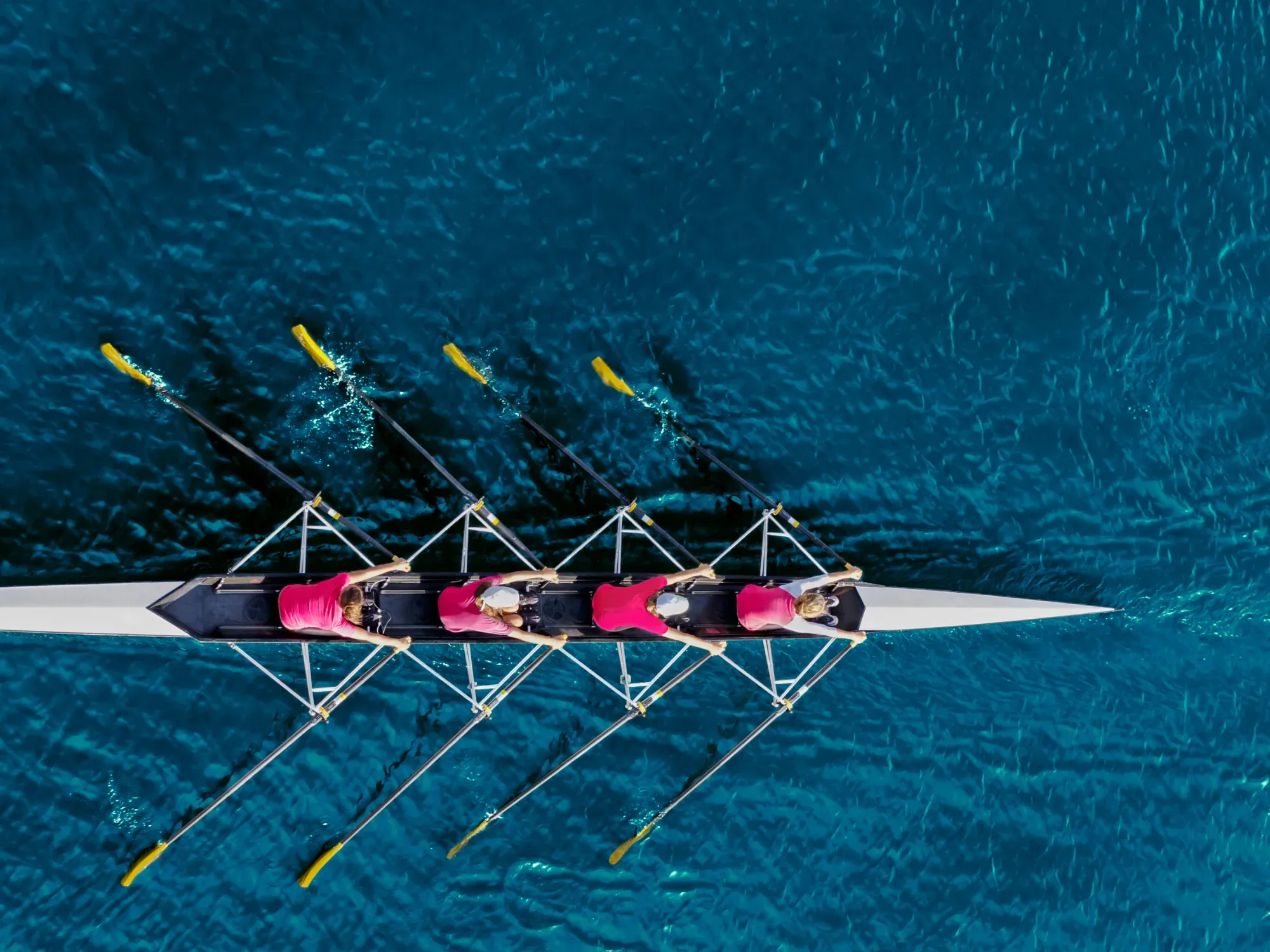 Dedicated Software Development Teams