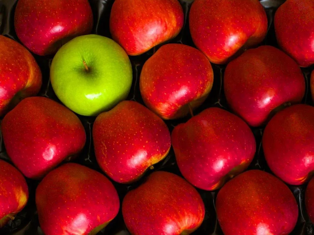 EHR vs EMR: key differences  every provider should consider