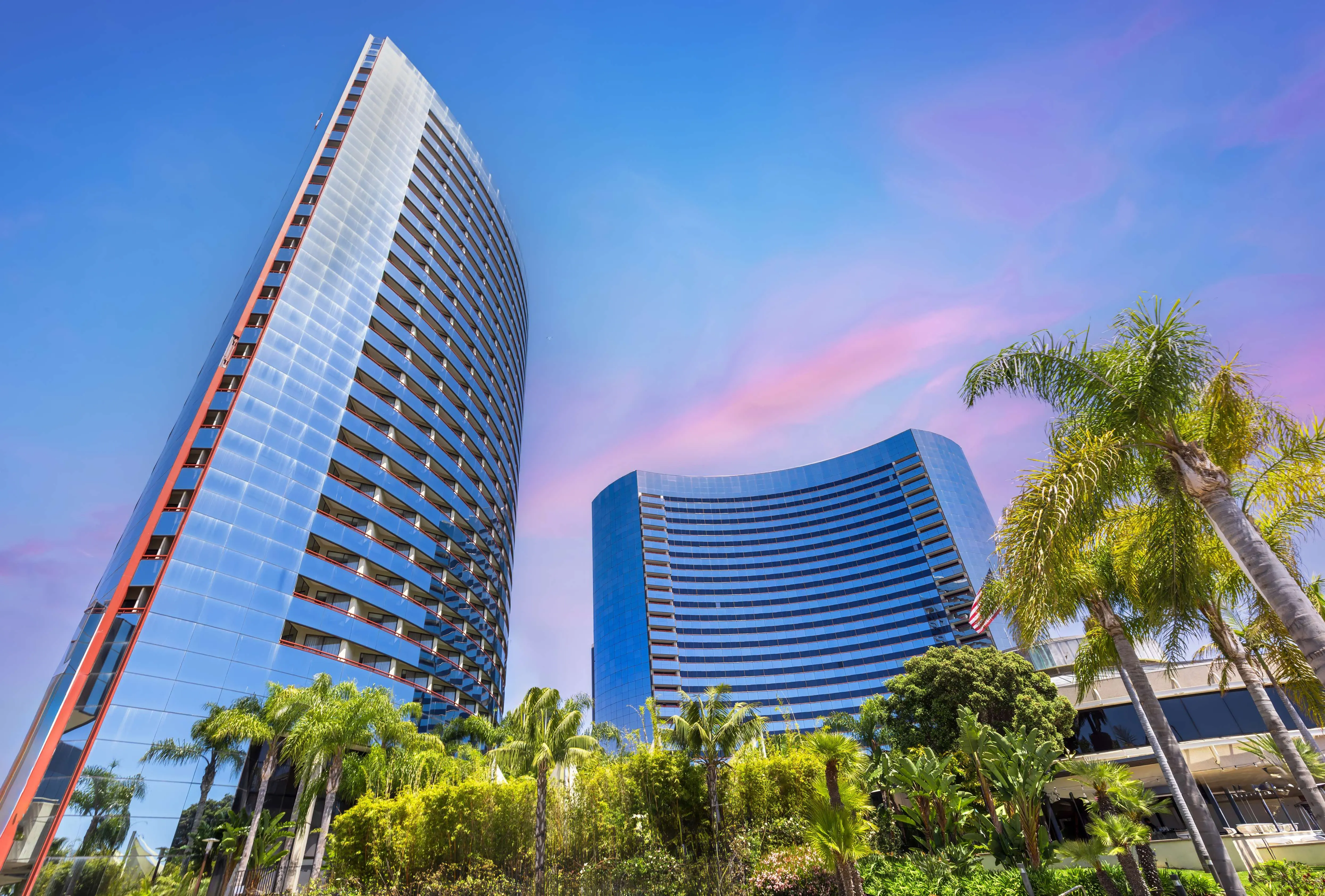 Erp customization expertise