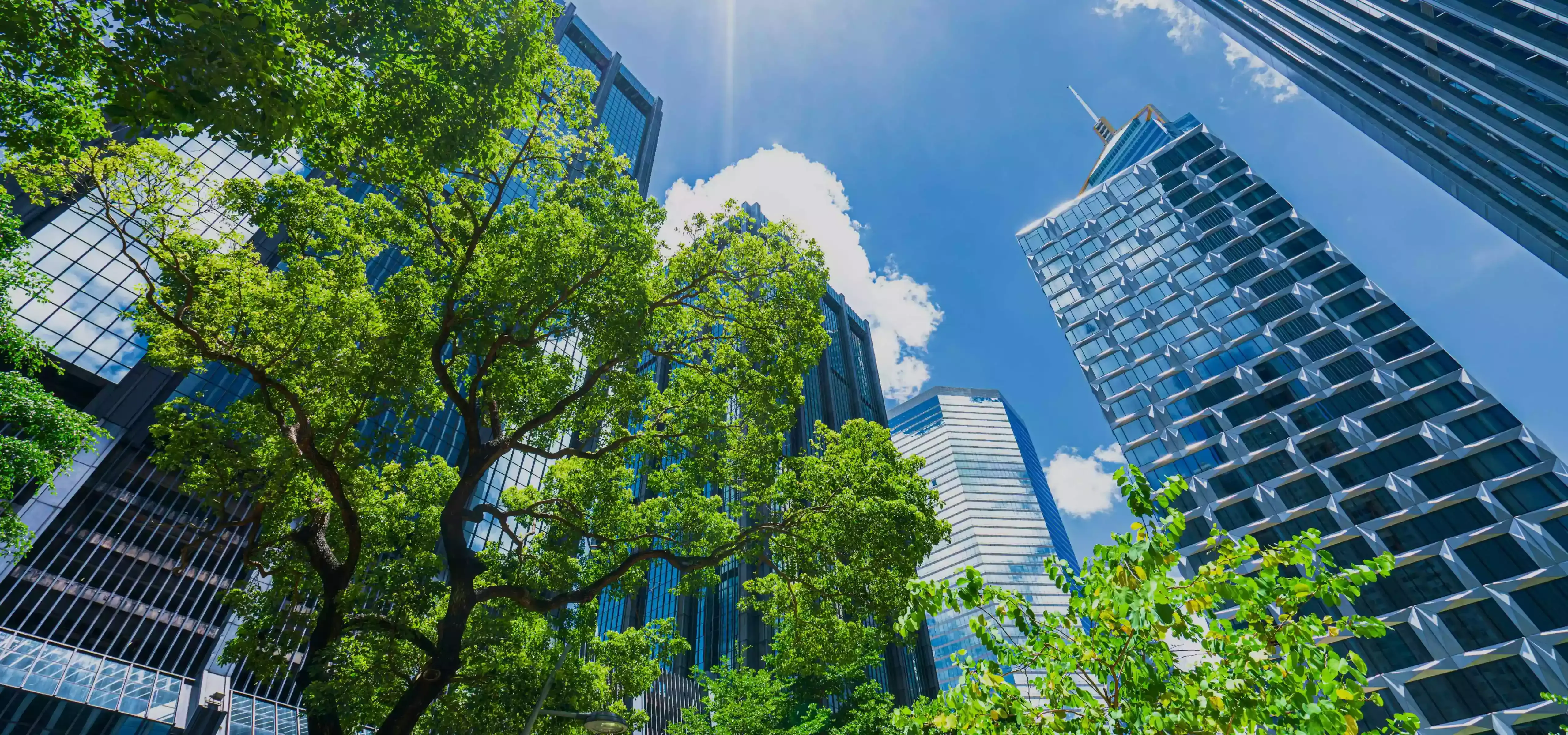 hero background image