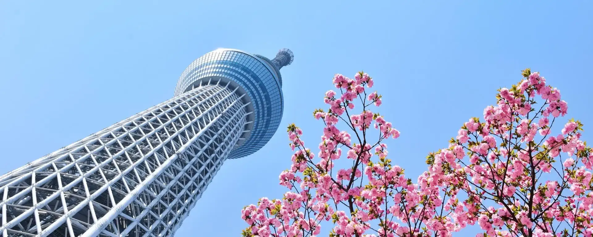 Telecom