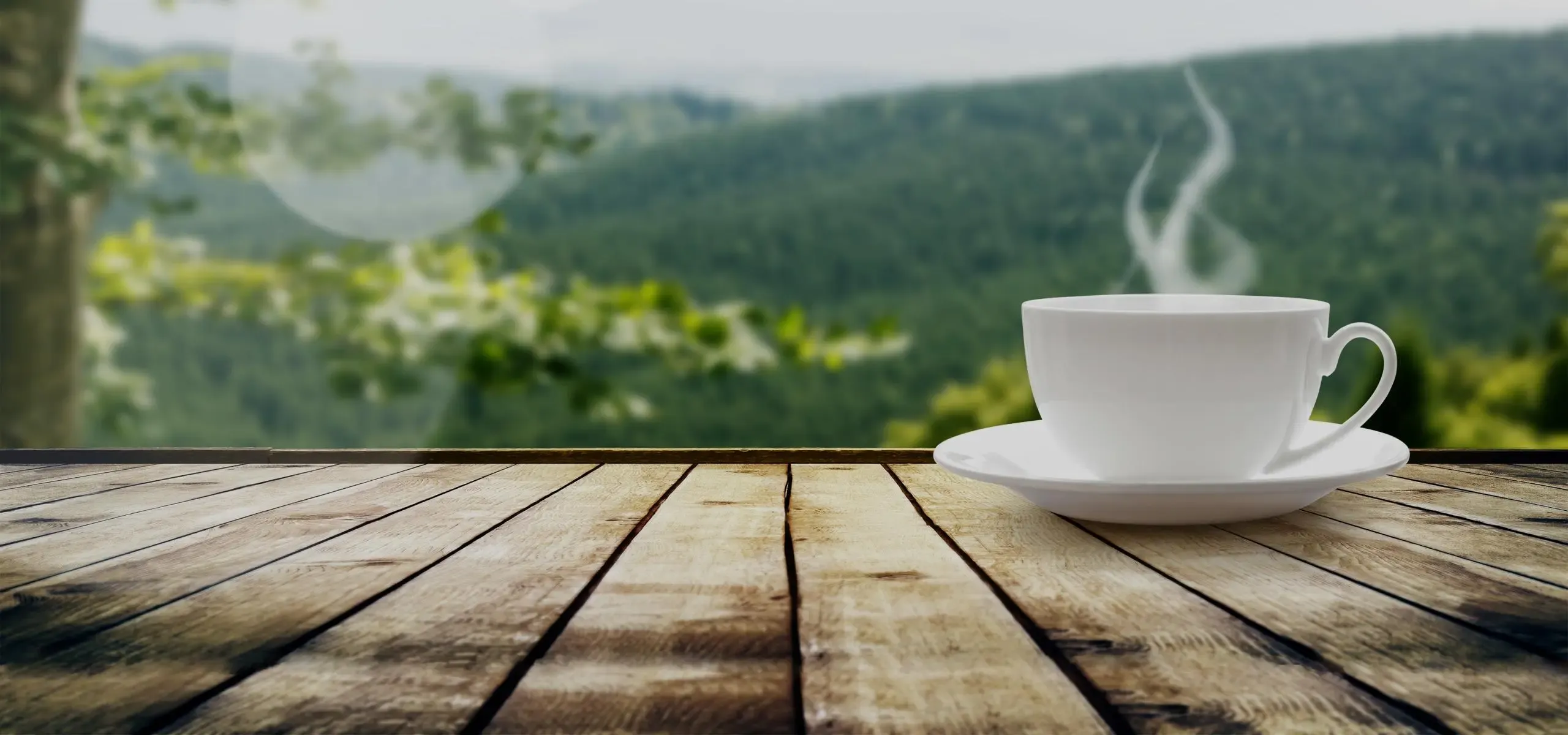 Java application development services: examples and engagement models