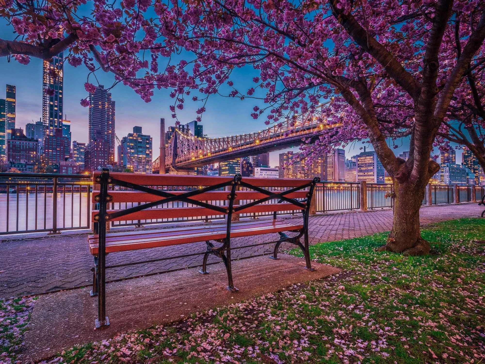 Top 14 most in-demand programming languages