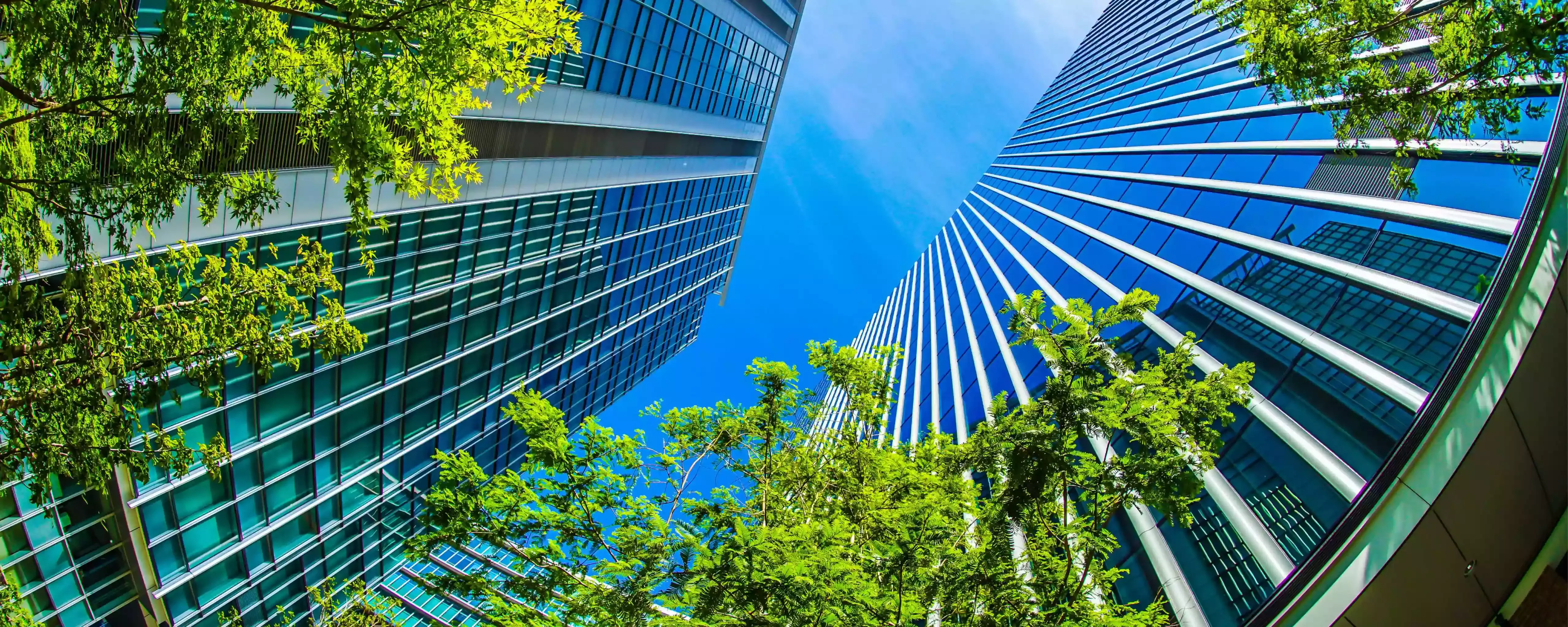 hero background image