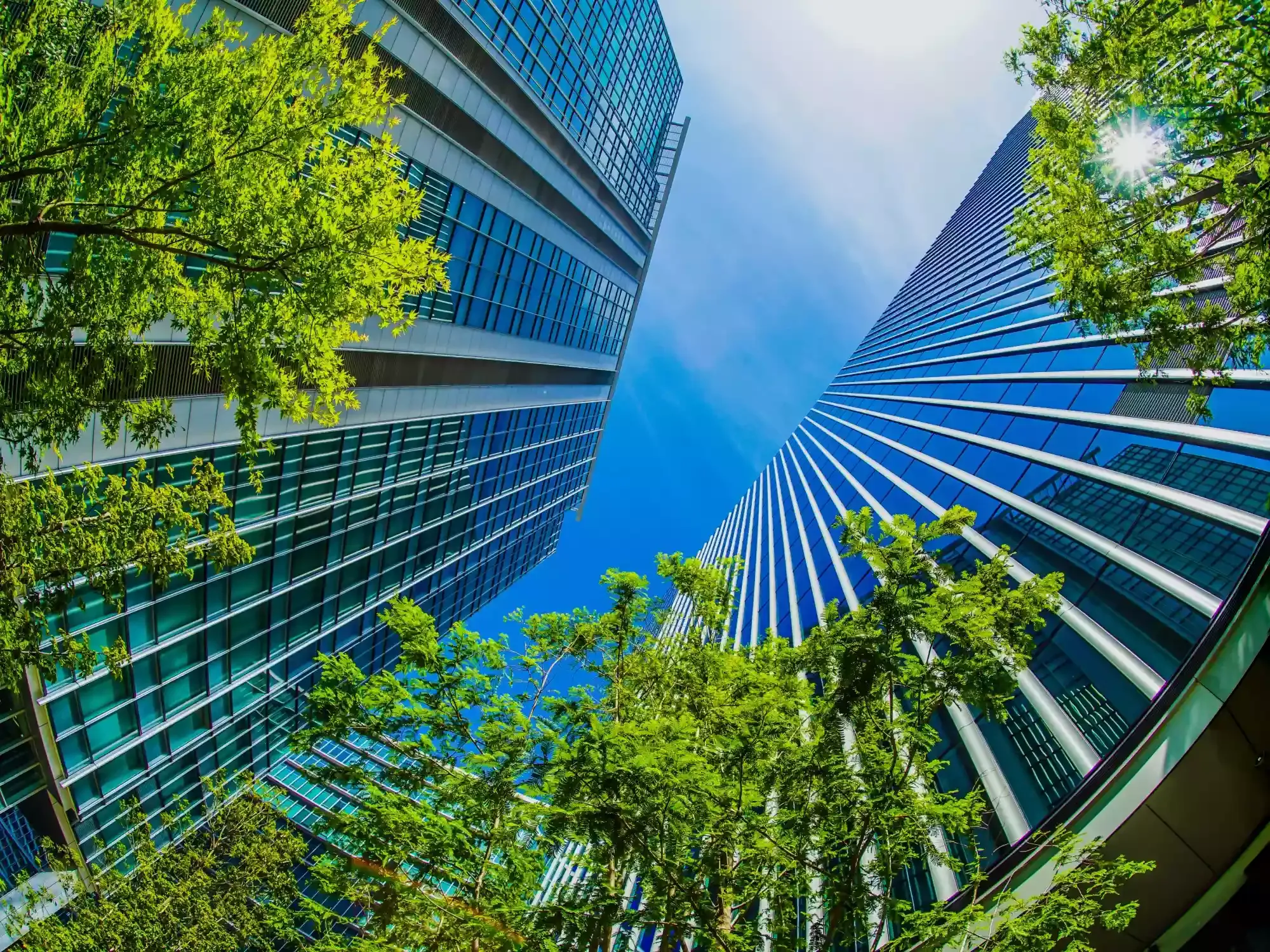 Odoo integration services