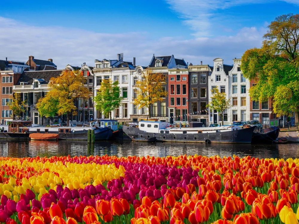 Predictive analytics in real estate: use cases, popular tools & adoption challenges