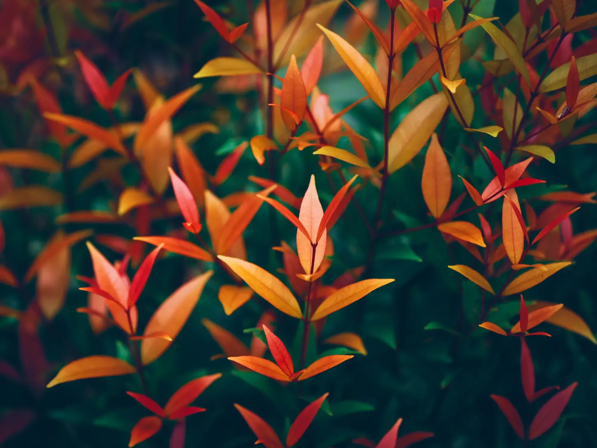 RPA Benefits: Top 10 Adoption Outcomes and Trends