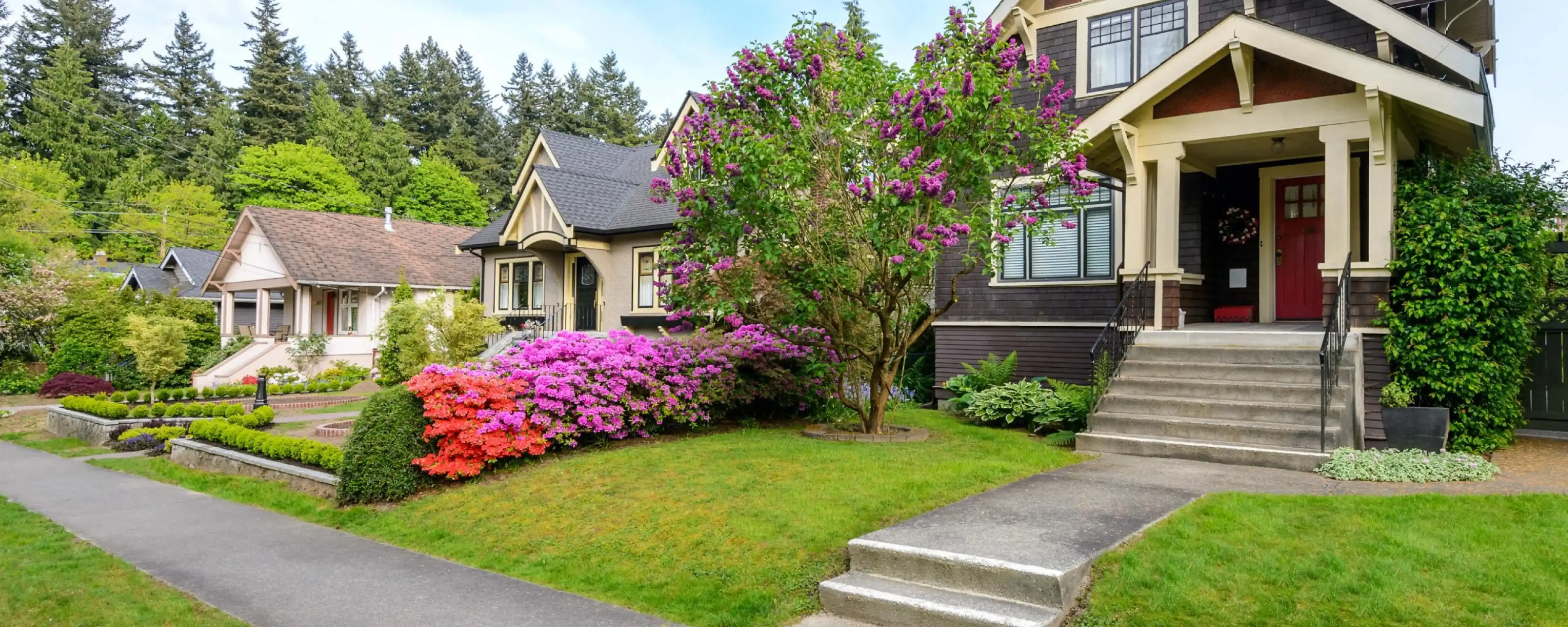 hero background image