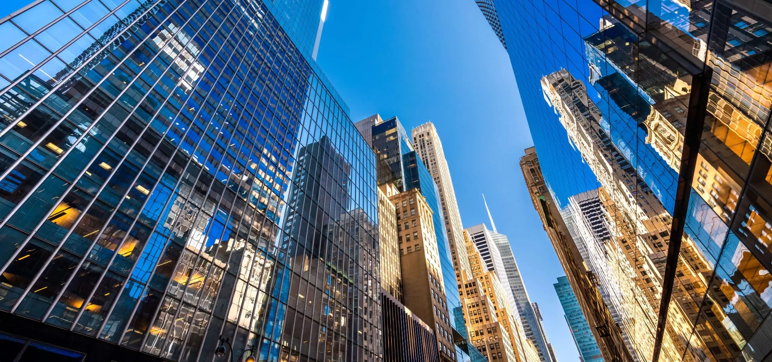 Salesforce Experten und Salesforce Dienstleistungen