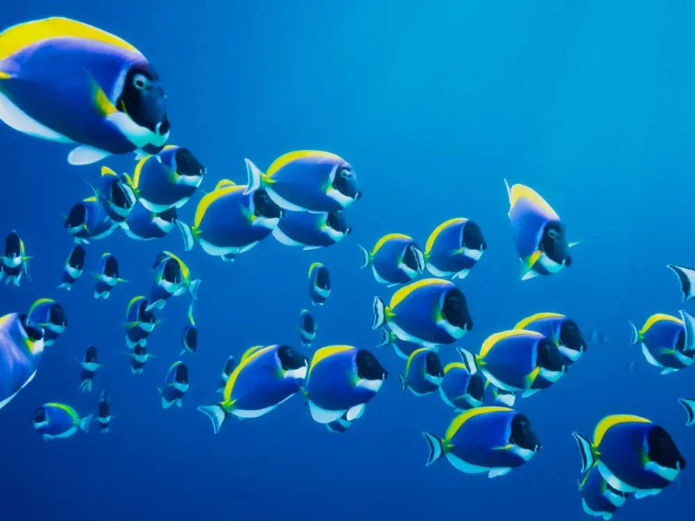 Top smart contract platforms: a selection guide