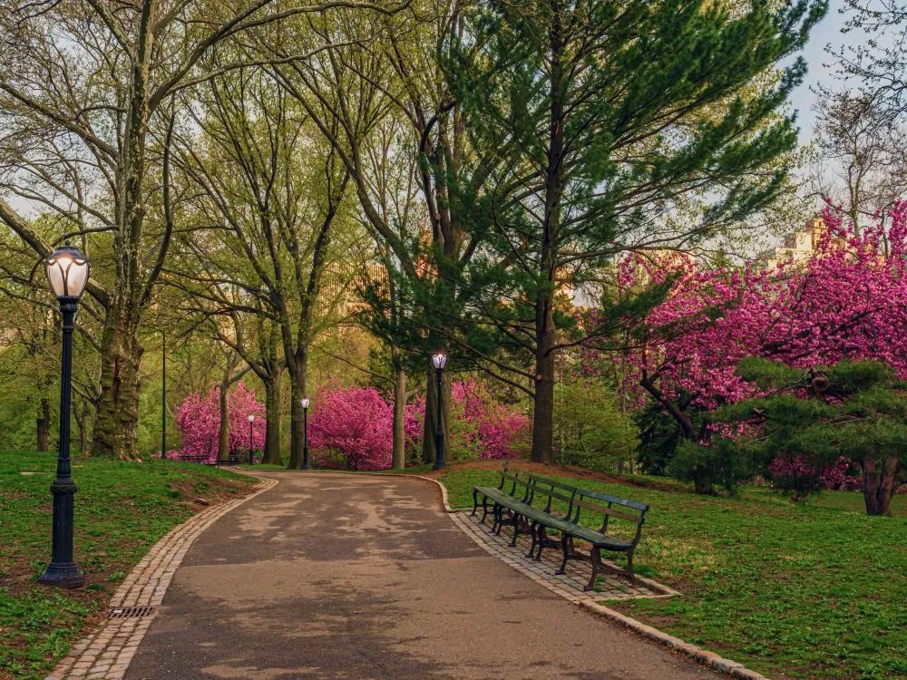 UiPath vs Power Automate: Comparison and a Selection Guide