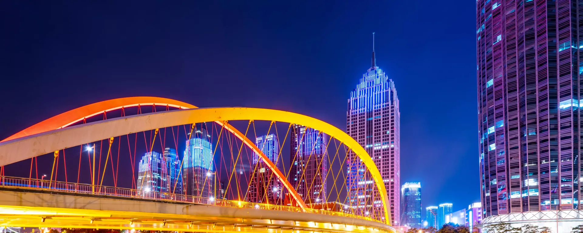 Top 14 most in-demand programming languages