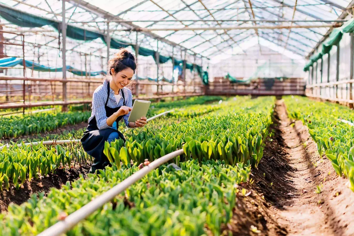 Agriculture