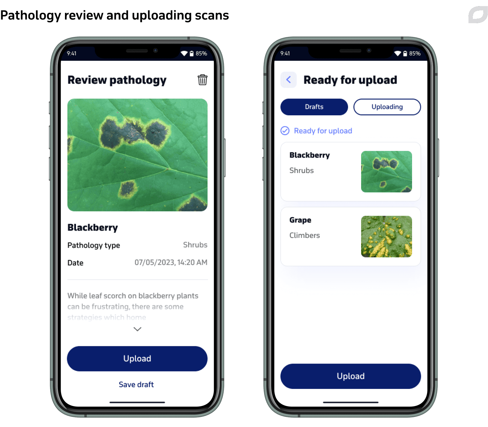 Pathology review and uploading scans