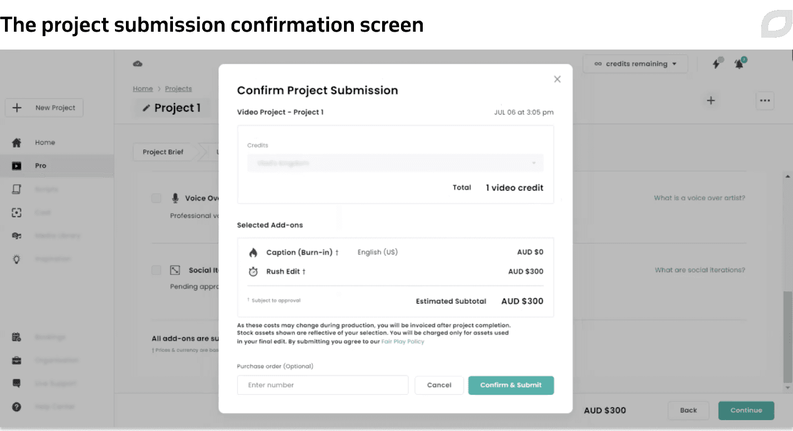 The project submission confirmation screen