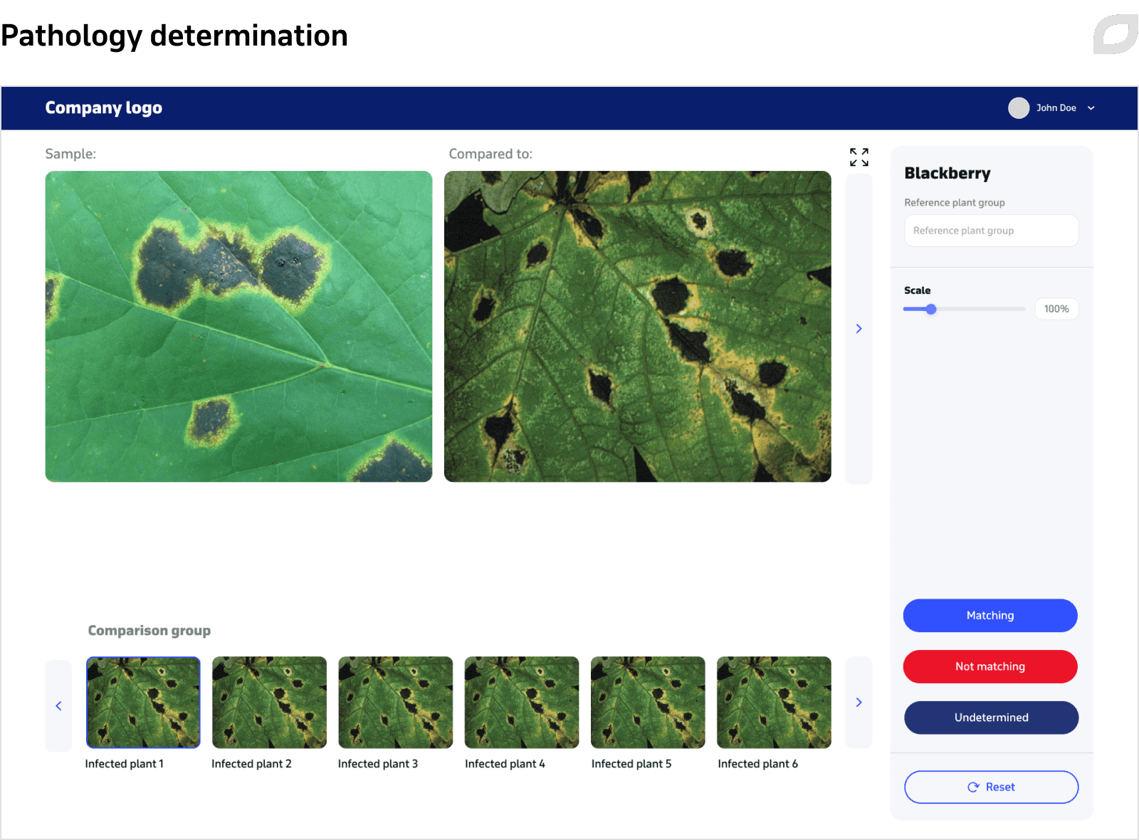 Pathology determination