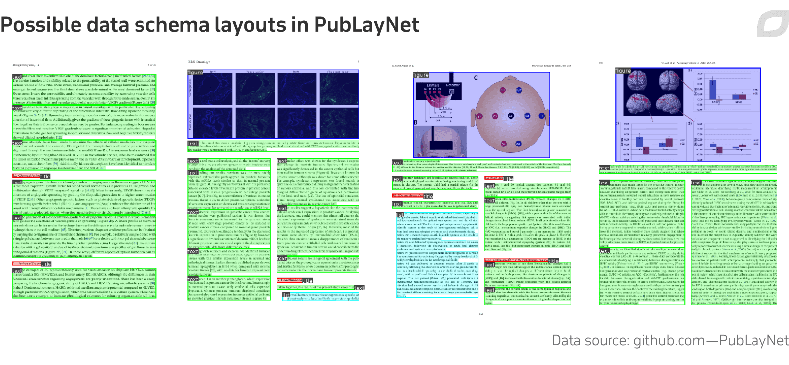 Possible data schema layouts in PubLayNet 