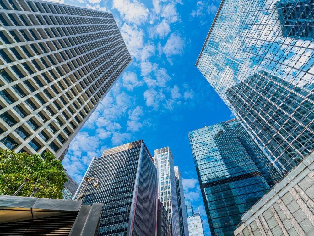 Essential software development
statistics for 2025